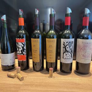 Pisano e Progreso: Tasting com DNA Uruguaio